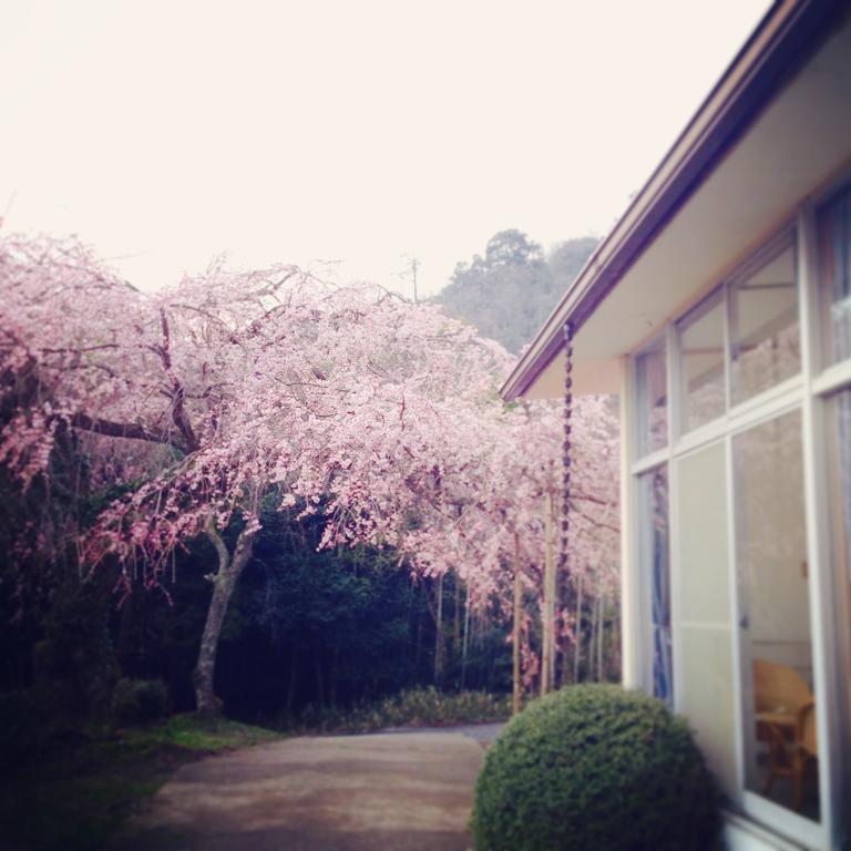 Amanohashidate Youth Hostel Miyazu Exterior foto
